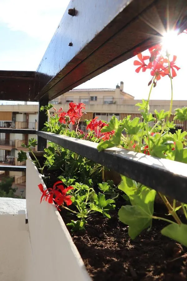 Edurne -Centro Salou- Apartment